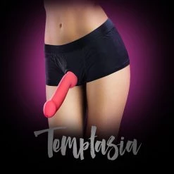 Blush Novelties Blush Temptasia Harness Briefs Strap On & Harnesses