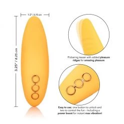 California Exotic Novelties California Dreaming Hollywood Hottie Intimate Stimulator G-Spot Vibrators