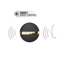 Bullet & Egg Vibrators Dorcel Secret Delight Voice Control Egg