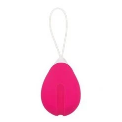 Evolved Novelties INC Evolved Remote Control Egg Vibe Bullet & Egg Vibrators