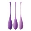 Pipedream Products Fantasy For Her Kegel Train-Her Set Wellness