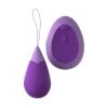 Pipedream Products Wellness Fantasy For Her Remote Kegel Excite-Her
