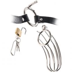Pipedream Products Fetish Fantasy Extreme The Prisoner Steel Cock Cage Bondage