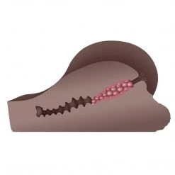 Evolved Novelties INC Gender X A Handful Life-Like Stroker Male Masturbators