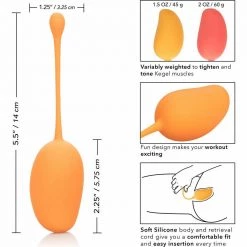 California Exotic Novelties Kegel Training Set Ben Wa Balls 23 California Exotic Novelties Kegel Training Set Ben Wa Balls