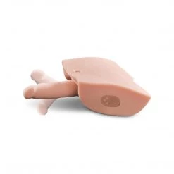 Pipedream Products PDX Dirty Talk Interactive Fuck Him Silly Male Masturbator