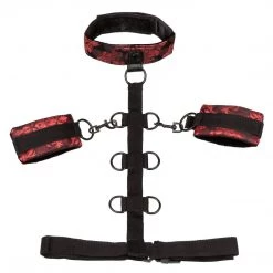 California Exotic Novelties Bondage Scandal Collar Body Restraint