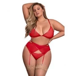 Magic Silk Lingerie Sheer Mesh Bra Garter Belt & Panty Set Plus-Size Lingerie