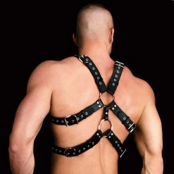 Shots America LLC Shots Ouch Andreas Masculine Masterpiece Bondage