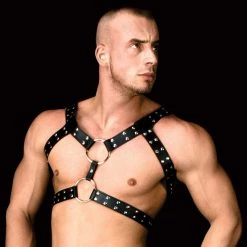 Shots America LLC Shots Ouch Andreas Masculine Masterpiece Bondage