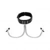 Sportsheets International Sportsheets Collar With Nipple Clamps 1 Sportsheets International Sportsheets Collar With Nipple Clamps