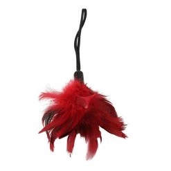 Sportsheets International Sportsheets Sexy Slave Kit