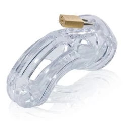 A.L. Enterprises INC The Curve Male Chastity Device