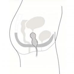 Wow Tech Sex Toys We-Vibe Bloom Vibrating Ben Wa Balls