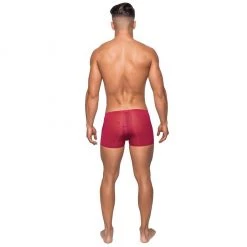 Comme Ci Comme Ca Men's Lingerie Wine Sheer Sleek Short