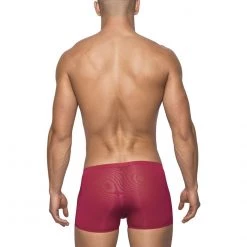 Comme Ci Comme Ca Men's Lingerie Wine Sheer Sleek Short