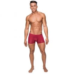 Comme Ci Comme Ca Men's Lingerie Wine Sheer Sleek Short