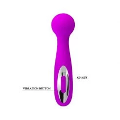 Liaoyang Baile Health Care Produ Wade Rechargeable Wand
