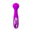 Liaoyang Baile Health Care Produ Wade Rechargeable Wand